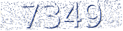 This is a CAPTCHA image; please enter the text you see in this image into the input box below